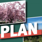 webp-net-resizeimage-67-2