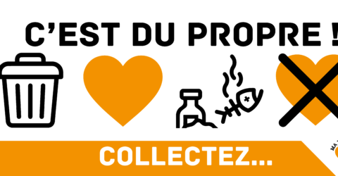 Illustration Ma ville en propre - thématique de la collecte de déchets