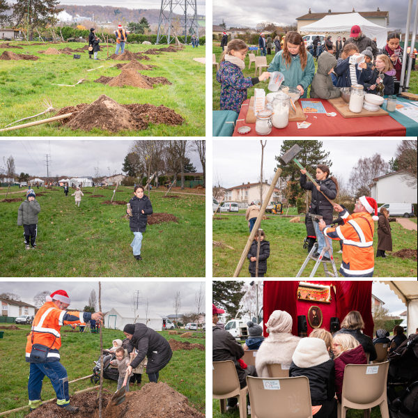 photos_atelier_adopte_arbre_12-2025